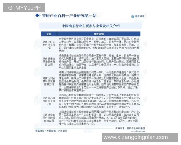 深入解读球星卡足球7910的收藏价值与市场发展趋势分析