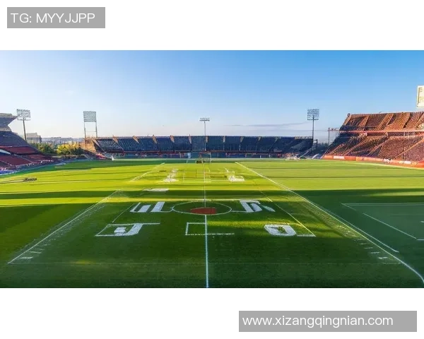 绿色赛场上的足球传奇之星壁纸，感受绿茵场的无尽激情与活力